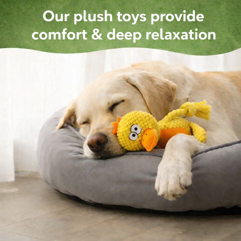 Plush toys – developed with the 5-fold activity system.